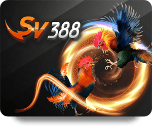 1Win วัยรุ่น: สุดยอดแพลตฟอร์มเดิมพันสำหรับคนรุ่นใหม่